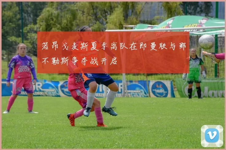 若昂戈麦斯夏季离队在即曼联与那不勒斯争夺战开启