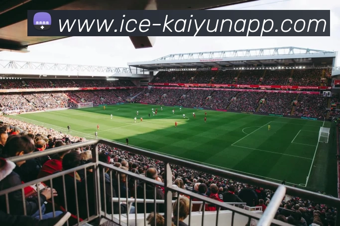 开云体育APP 封面图